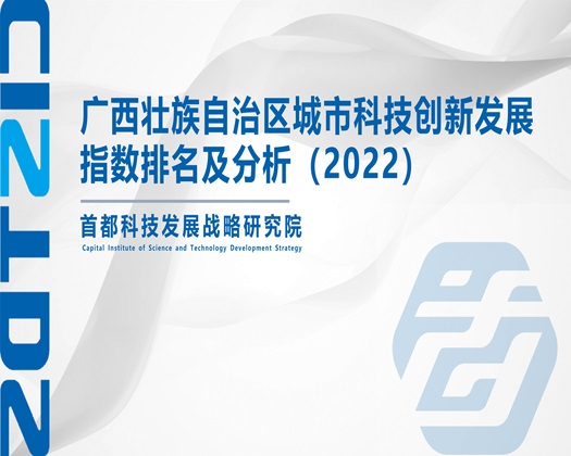 操欧美骚女人的屄视频【成果发布】广西壮族自治区城市科技创新发展指数排名及分析（2022）